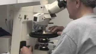 IODP Expedition 320  Micropaleontology [upl. by Hokanson]