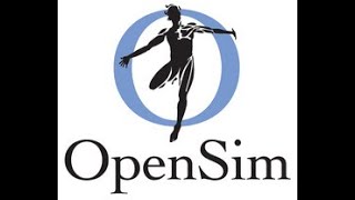 Convert Xsens and APDM IMU data for use within Opensim Opensens  Esra [upl. by Tteraj]