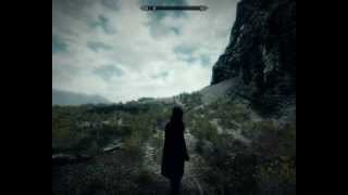 Screen shaking problem with ENB [upl. by Eppes576]