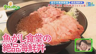 甘エビたっぷり！魚がし食堂の絶品海鮮丼（おでかけ中継） [upl. by Sayette]