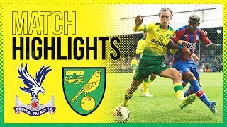 HIGHLIGHTS  Crystal Palace 20 Norwich City [upl. by Earley955]