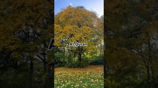 quran egzonibrahimi attahiyat yt ytshorts quranrecitation [upl. by Guadalupe]