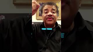 How Do SPIRALS Appear in NATURE  😲 w Neil deGrasse Tyson [upl. by Rawley]