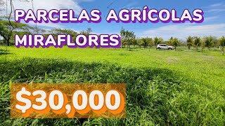 🔴VENDIDA🔴Se venden Terreno con casa y árboles frutales En Uluazapa San Miguel [upl. by Cohl]