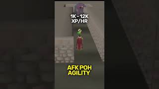 AFK Agility Methods OSRS [upl. by Dudden270]