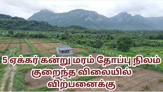 131 5 ACRE Farmland lowbudget Near Chemmanampathy coimbatore tamilnadu india land farmland [upl. by Tasia]