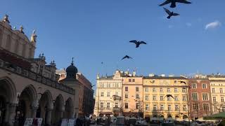 Stedentrip Krakau bezienswaardigheden historische binnenstad [upl. by Gazzo]