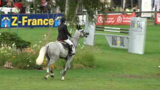 Darlon Van Groenhove jumping horse by Clinton [upl. by Ikila171]