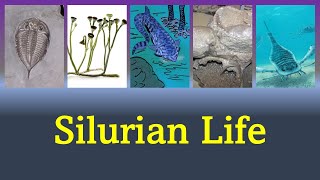 The Silurian Period Life Moving To Land And Some Other Life [upl. by Dera]