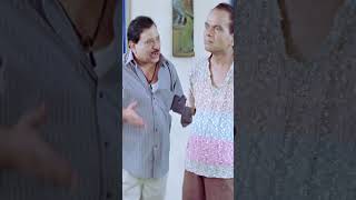 బ్రహ్మి తో ఆడుకున్న అలీ 😂  Brahmanandam  Ramachari Movie  VenuThottempudi  YouTubeShorts [upl. by Raama972]