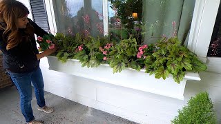 Planting Full Shade Window Boxes 💚🌿💚  Garden Answer [upl. by Ejroj]