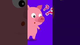 Colorful Animal Poo  Fun Animal Song  babysong nurseryrhymes tidikids [upl. by Akkeber261]