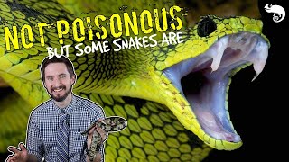 Zoologist Explains Snake Venom  Poisonous vs Venomous amp How Venom Kills [upl. by Bryce74]