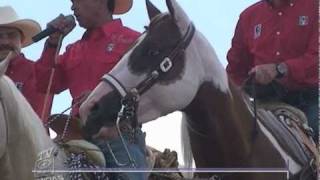 Enrique Peña Nieto Cabalgata De Jilotepec [upl. by Eliak]