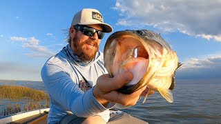 Florida Bass Fishing Raw And Uncut Big Bass On Swim Jigs And Chatterbaits [upl. by Sherrod]