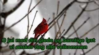 Norwegian Christmas Song O Jul Med Din Glede [upl. by Rainer]