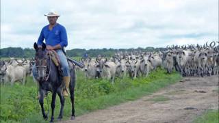 ASI INICIA LA ROMERIA 2023 11 DE OCTUOCTUBRE POR LA NOCHE [upl. by Onilatac]