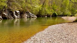 Tennessee CREEK Fishing for GIANT Smallmouth Bass [upl. by Nhaj]