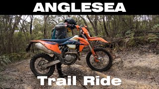 Anglesea Trail Ride [upl. by Macguiness516]