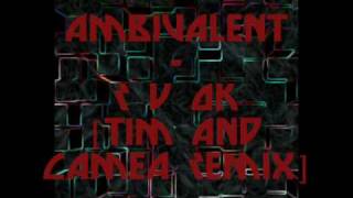 Ambivalent  R U OK Tim amp Camea Remix [upl. by Edrei690]