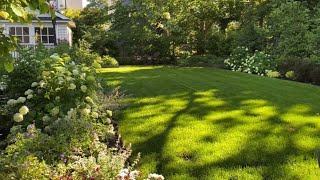 🌱 Open Lawn Garden Tour  Privacy Hedge  Y Garden 🌱 [upl. by Jordison]