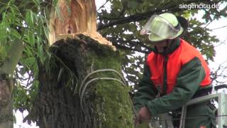 Gefahrenstelle Baum  Siegen  28062012 [upl. by Daht]