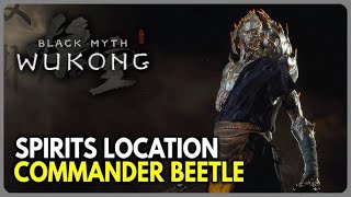 Black Myth Wukong Commander Beetle Fight [upl. by Winshell]