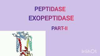 EXOPEPTIDASE  PEPTIDASE PART2 DETAILED VIDEO Manyas Biology [upl. by Analram558]