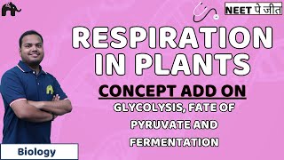 Respiration in Plants NEET Concept Add OnGlycolysis Fate of Pyruvate and Fermentation  Biology [upl. by Cleo]