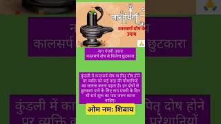 Nag panchmi per Kaal sarp dosh ke upay motivation mahadevupay facts trending astrology shorts [upl. by Papotto]