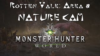 MHW Rotten Vale Area 8 Nature Cam [upl. by Notslar]