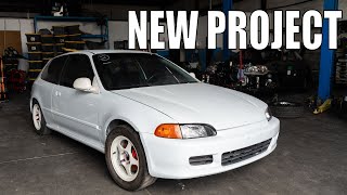 New Civic K Swap All Motor Project [upl. by Mollee860]