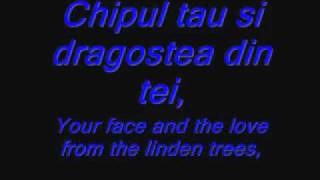 Dragostea Din Tei Lyrics and Translation360pflv [upl. by Bomke]