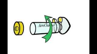 How to Clean your AeroChamber Plus FlowVu Chamber  Trudell Medical International [upl. by Iidnarb933]