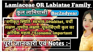 Family Lamiaceae or Labiatae Bsc2ndyear  कुल लामियासी Notes  Economic importance  पूरी जानकारी [upl. by Siraved]