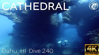 SCUBA How To Dive Cathedral  North Shore Oahu 2024  4k [upl. by Miyasawa]