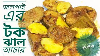 রোদে দেওয়ার ঝামেলা ছাড়াই জলপাই আচার  jolpai ar tok jhal achar  Jolpai Achar Recipe  Jolpai [upl. by Nitsraek]