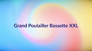 Grand Poulailler Bassette XXL ‐httpsamznto4dyOvZc [upl. by Odnalref359]