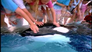 MarineLand quotPlace to bequot 2008 edit broadcast commercial [upl. by Bensen918]