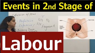 Second Stage of Labour  Events amp Clinical Findings in 2nd Stage of Labour  Nursing Lecture [upl. by Arutek]