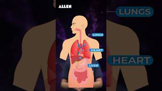 What is Coelom or Body Cavity  Drop Your Answer in Comment Box  NEET 2025  ALLEN [upl. by Michaella]