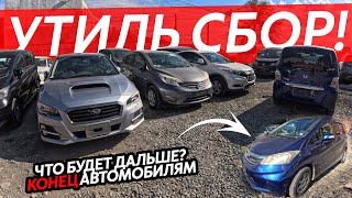 УТИЛЬ СБОР БЛИЗКО❗️ЧТО БУДЕТ ДАЛЬШЕ⁉️БОЛЬШОЕ ПРИБЫТИЕ АВТО ИЗ ЯПОНИИ🔥СЕМЕЙНЫЕ АВТО👍 [upl. by Semreh]