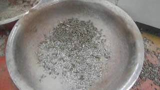 Cat Litter Machine  How to Make Cat Litter with Pellet Mill [upl. by Annaul391]