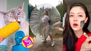 Best Funny TikTok Videos Compilation  ComedyampSatisfying TikTok 2019 [upl. by Arela67]