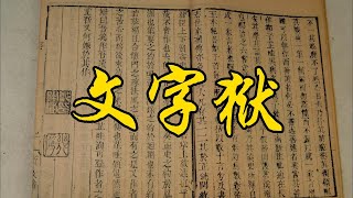 《康熙王朝》第36期：标榜仁义的康熙也搞文字狱？两个文字狱大案的鲜明对比 [upl. by Ardnikal]