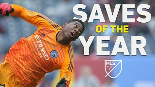 quotHow On Earth Did it Stay Outquot  MLS Saves of the Year [upl. by Sainana363]