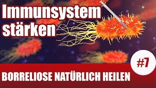 BorrelioseTherapie  Diese Pflanzen stärken dein Immunsystem Borreliose Behandlung natürlich 7 [upl. by Amarillas]