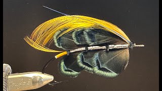 Live classic salmon fly tying tying Trahernes Black Prince part 2 [upl. by Odnuges]