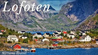 LOFOTEN ISLANDS Norway • Discover the Magic Wildlife Encounters Panoramic Views Drone Shots 4K HD [upl. by Budde11]