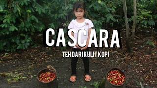 Cascara [upl. by Pamelina]